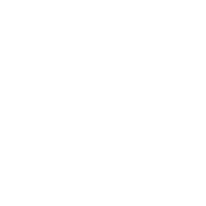 logo persebelle